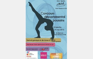 Affiche Concours Départemental 2015 à St Romain en Gal