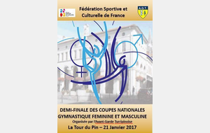 Demi-finales des Coupes Nationales de Gymnastique