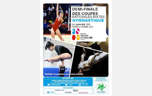 1/2 finales Coupes Nationales Mixtes