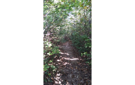 nouvelle activité Randonnée