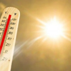 Canicule - Fermeture Gymnases